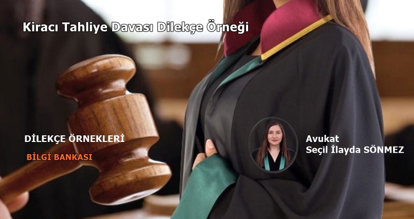 Kiracı Tahliye Davası Dilekçe Örneği