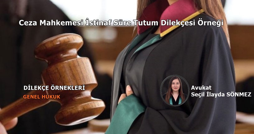 Ceza Mahkemesi İstinaf Süre Tutum Dilekçesi Örneği