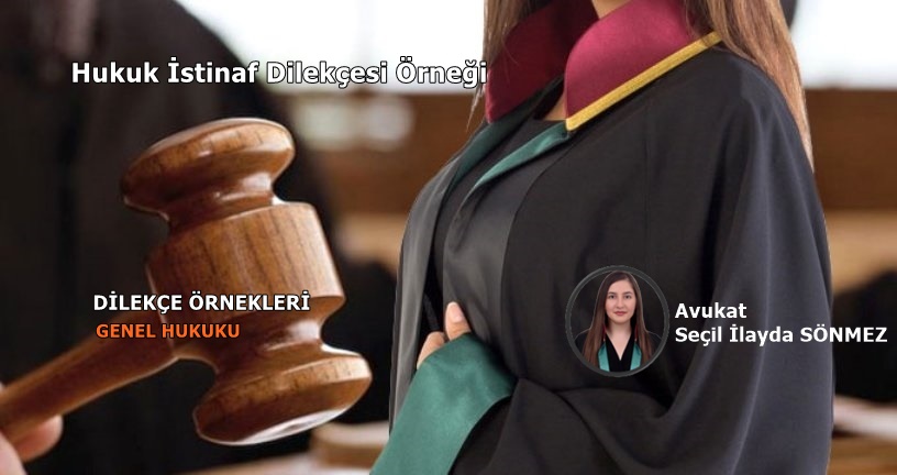 Hukuk İstinaf Dilekçesi Örneği