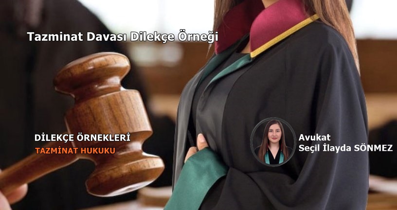 Tazminat Davası Dilekçe Örneği